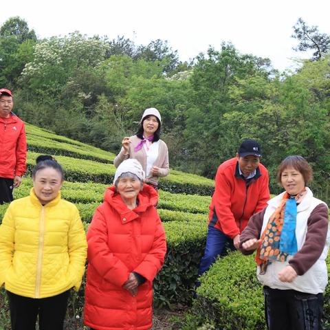 背马山赏杜鹃