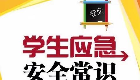 冶师附小——学生成长乐园之《急救常识科普》