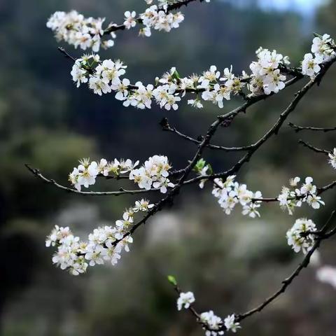 明心笃志，砥砺前行