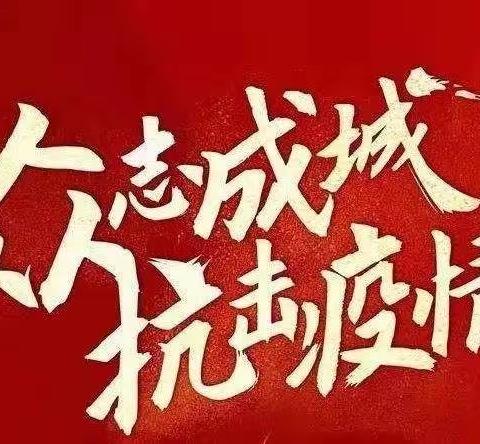 守卫我们的家园，虎林税务志愿者防“疫”相册