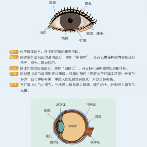 家校齐努力，携手护视力