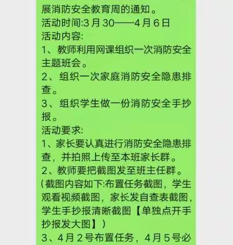 “关注消防，平安你我”桃花驿小学消防宣传活动