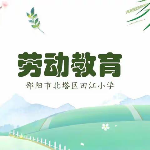 邵阳市北塔区田江小学劳动教育