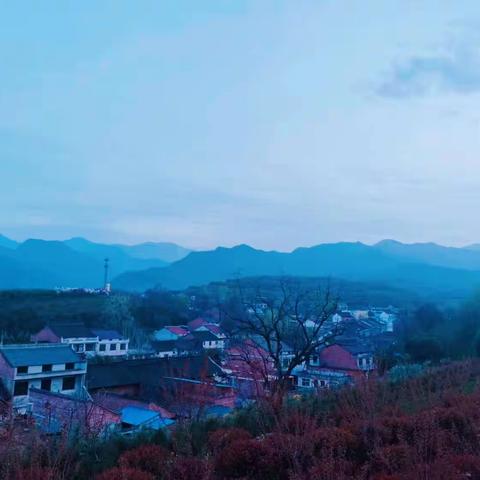 提升“颜值”建设宜居宜业和美乡村