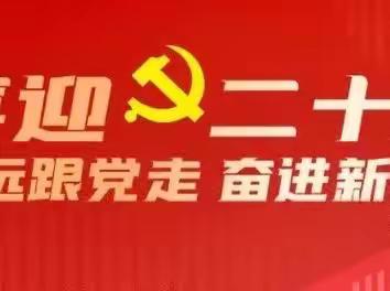 中国共产党第二十大全国代表大会