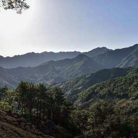 李玉兰一家人的甜蜜事业