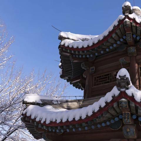 早春二月——承德避暑山庄雪景。