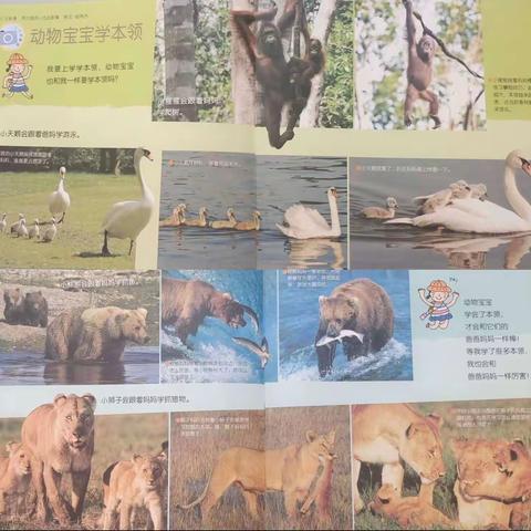 中三班今日活动（9.5）