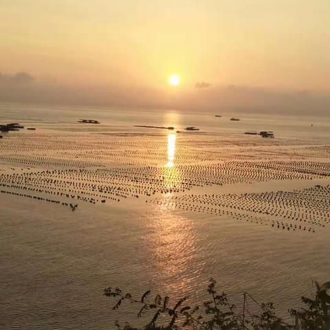 垂钓
