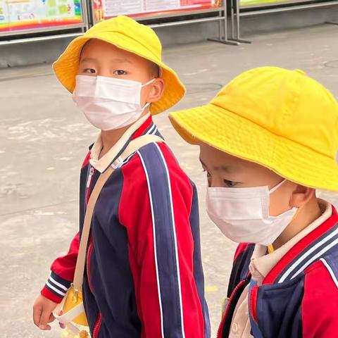 红灵鸟幼儿园—走进水富市第一小学活动