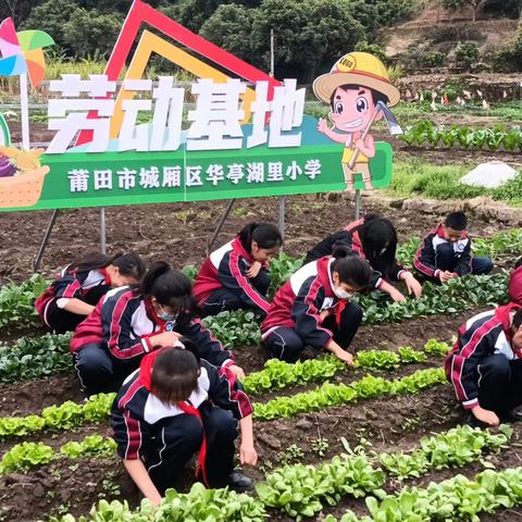 耕云播雨去·奋蹄踏春归——华亭湖里小学校外劳动基地落成耕耘纪实