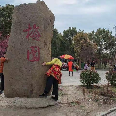 赏梅季节