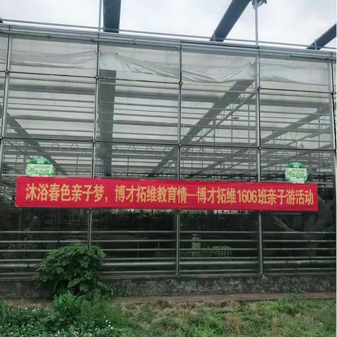 小太阳🌞班春游