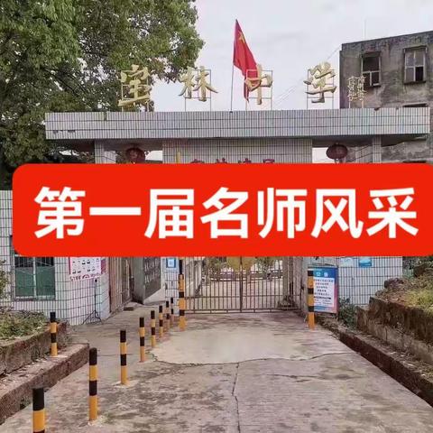 宝林中学第一届名师风采