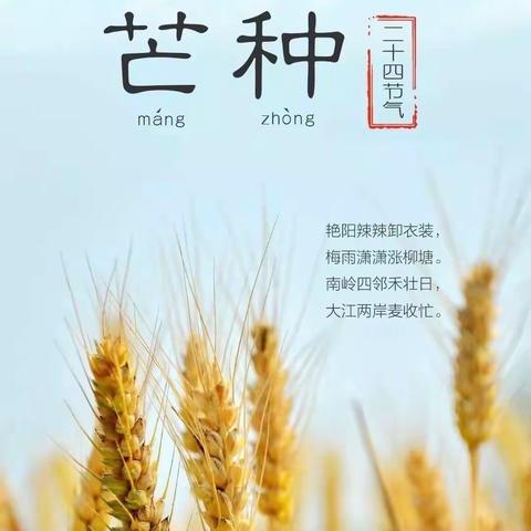 “芒种好时节  收获享快乐”横州市人民政府幼儿园小一班“芒种”主题活动