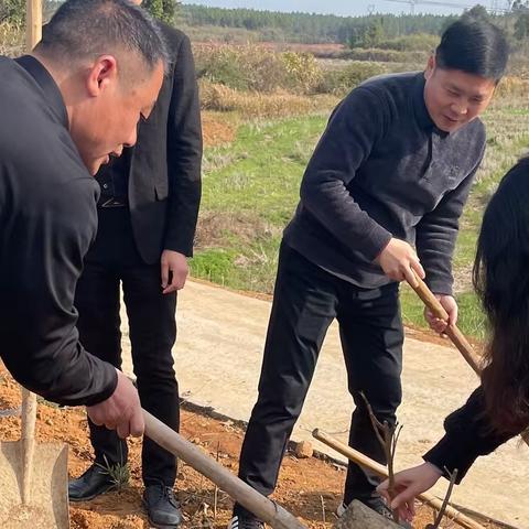 春风“十里” “植”此青绿——乐平市十里岗中学植树节活动