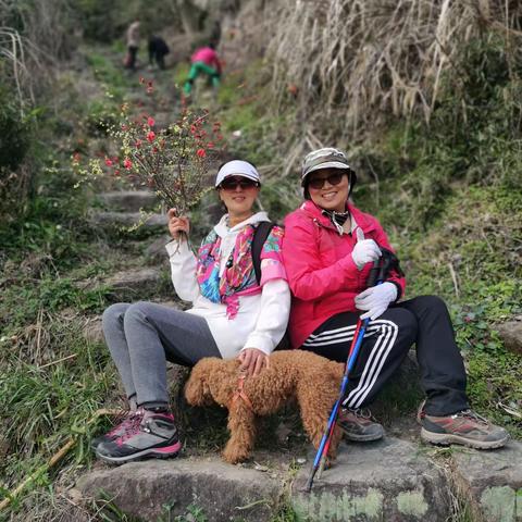 春暖花开～赶春第一站～鸡冠山