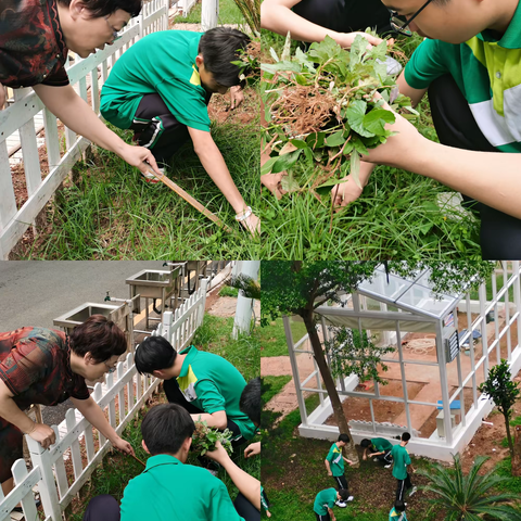 5月，华中生物组那些有趣的故事