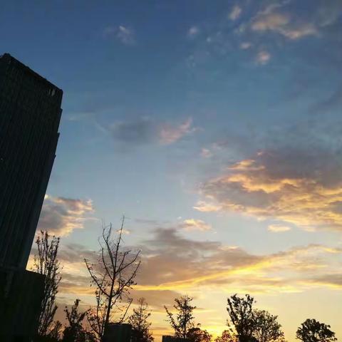 打开美篇，看见你。落日偶拍