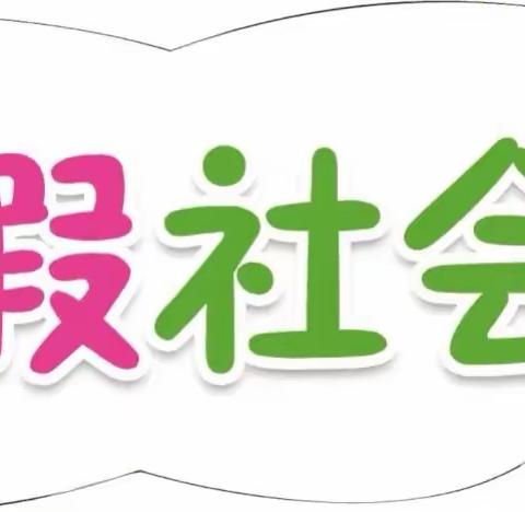 学与乐相伴，践与思同行：沙市第十一中学2003班B组暑假实践活动