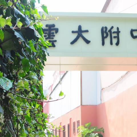 喜迎云大附中校庆——“我为学校绘画卷”绘画作品征集活动