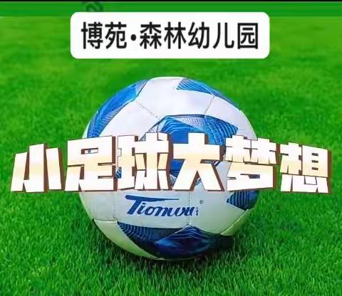 ⚽️“足”够精彩，快乐奔跑🏃 ——博苑•森林幼儿园足球联赛