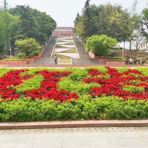 红梅绽放在红岩上（渝鄂行之一 重庆城区）