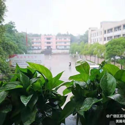 【党建+教学】同课异构，同放异彩------上饶经开区中学联盟校“地理、历史”学科交流活动