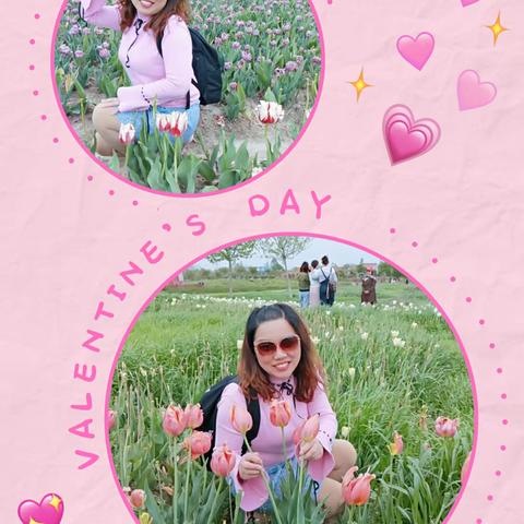 ㊗️女神节日快乐！