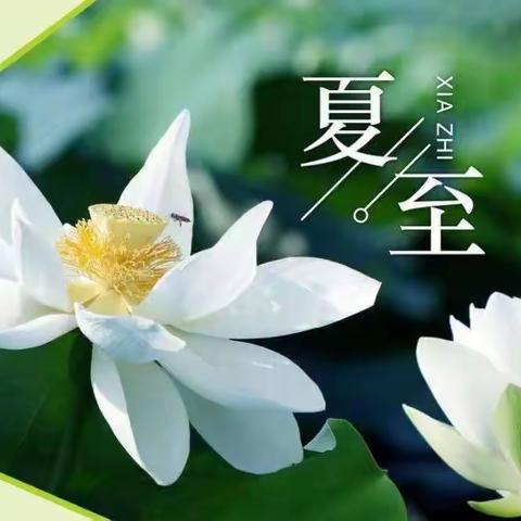 二十四节气篇 | 力大如牛的爬山虎