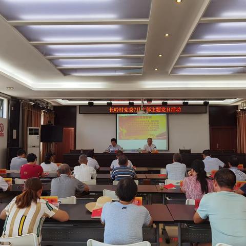 长岭村7月支部主题党日活动暨党史学习教育专题组织生活会
