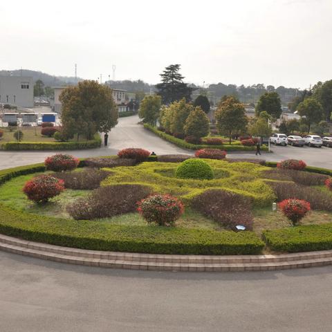 春意盎然 花香满院