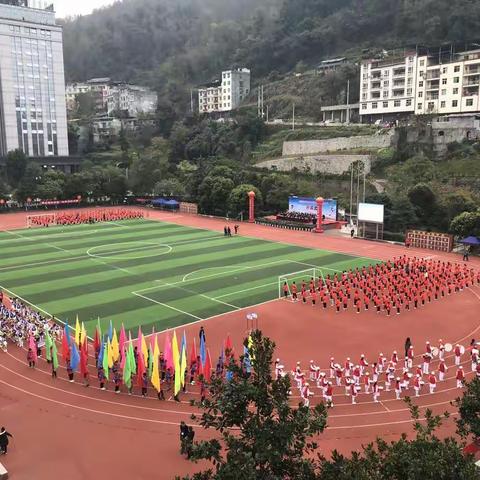 酉阳自治县第25届小学生田径运动会在桃花源小学校隆重开幕