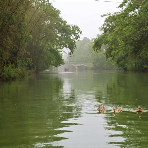 《广西游记》（三）