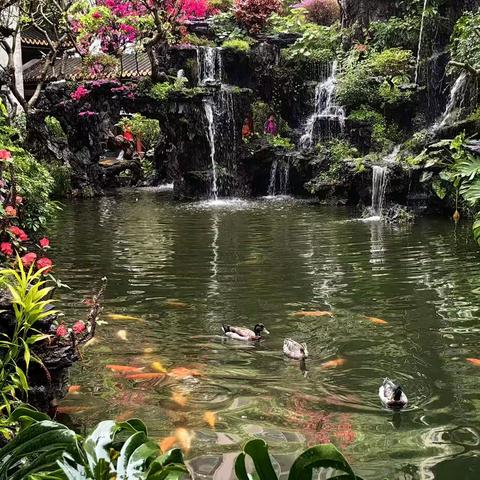 广东沿海自助游