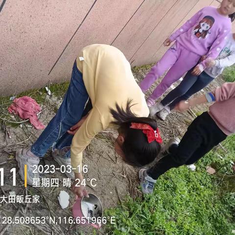 知劳动 感劳动 乐劳动——邱家小学劳动教育