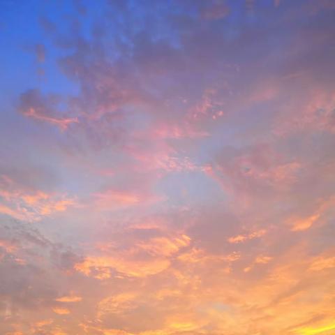 萤光梦海，展望未来