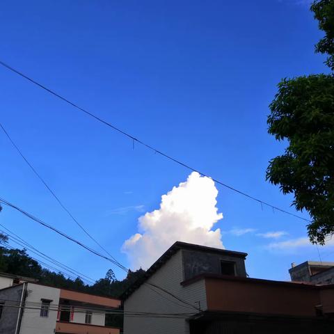 坚持的种子，终会开花