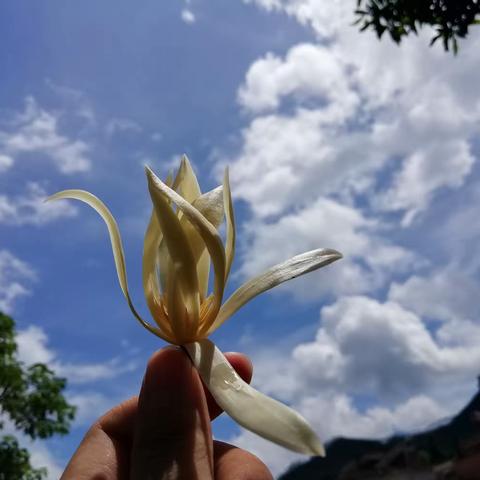 越看越可爱的孩子们