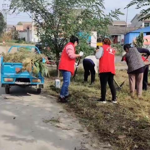 【新时代文明实践 铜山在行动】黄集镇左庄村组织开展村庄环境整治