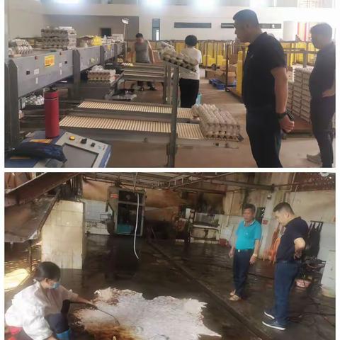 县农业农村局开展“五一”节前农业行业安全生产检查活动