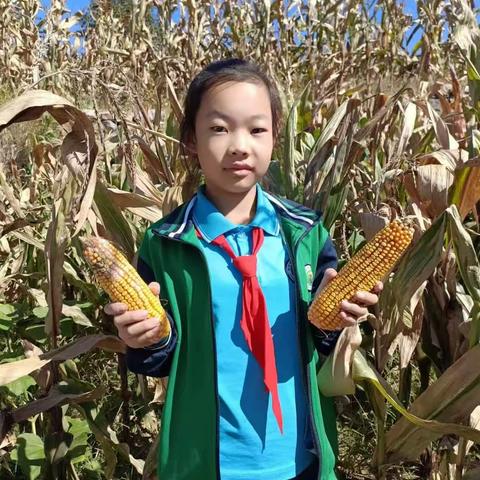 秋天田间的喜悦