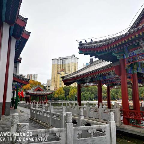 淋一场秋雨，寄一份相思