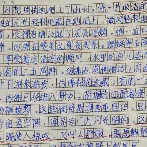 六上课堂小练笔（一）