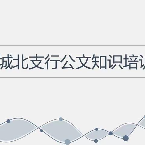 学规范夯基础 强素质促提升
——城北支行开展公文规范培训