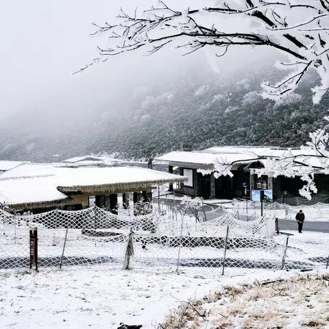 雪花飘落的声音