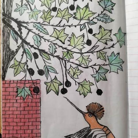 2022年8月31日妈妈进入老干部大学花鸟画基础班，下面是她画的画