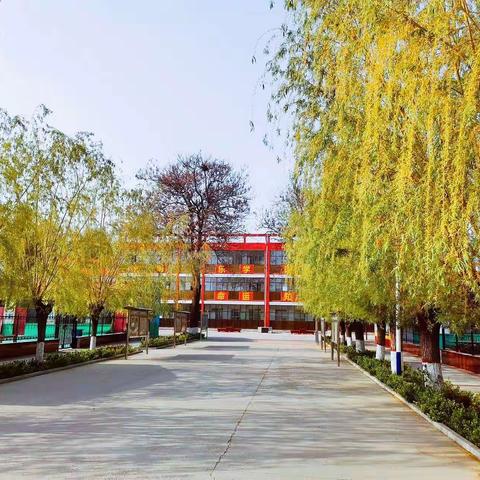 “树”你最美，“绿”动春天——西牛村小学绿色校园