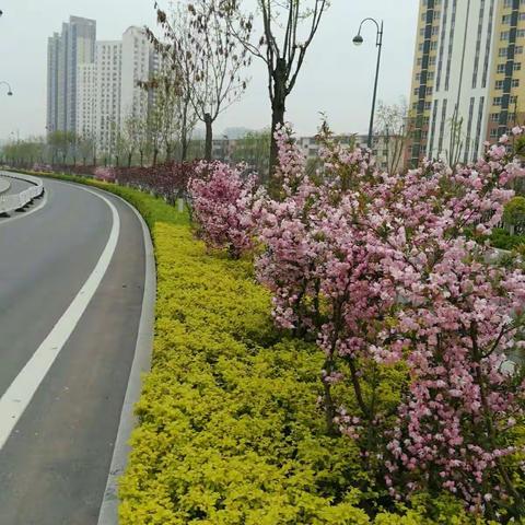 花香醉人 南沙河（副本）