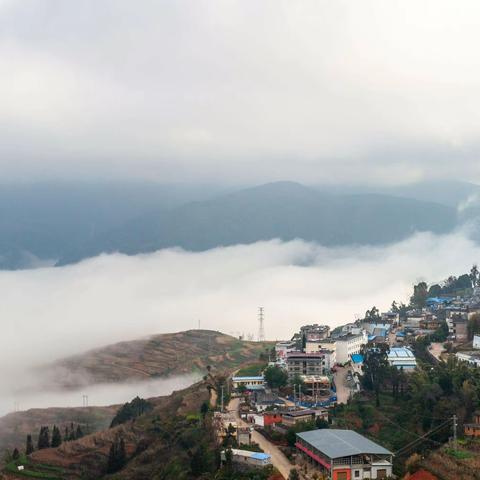 植一株绿苗，助美丽故土